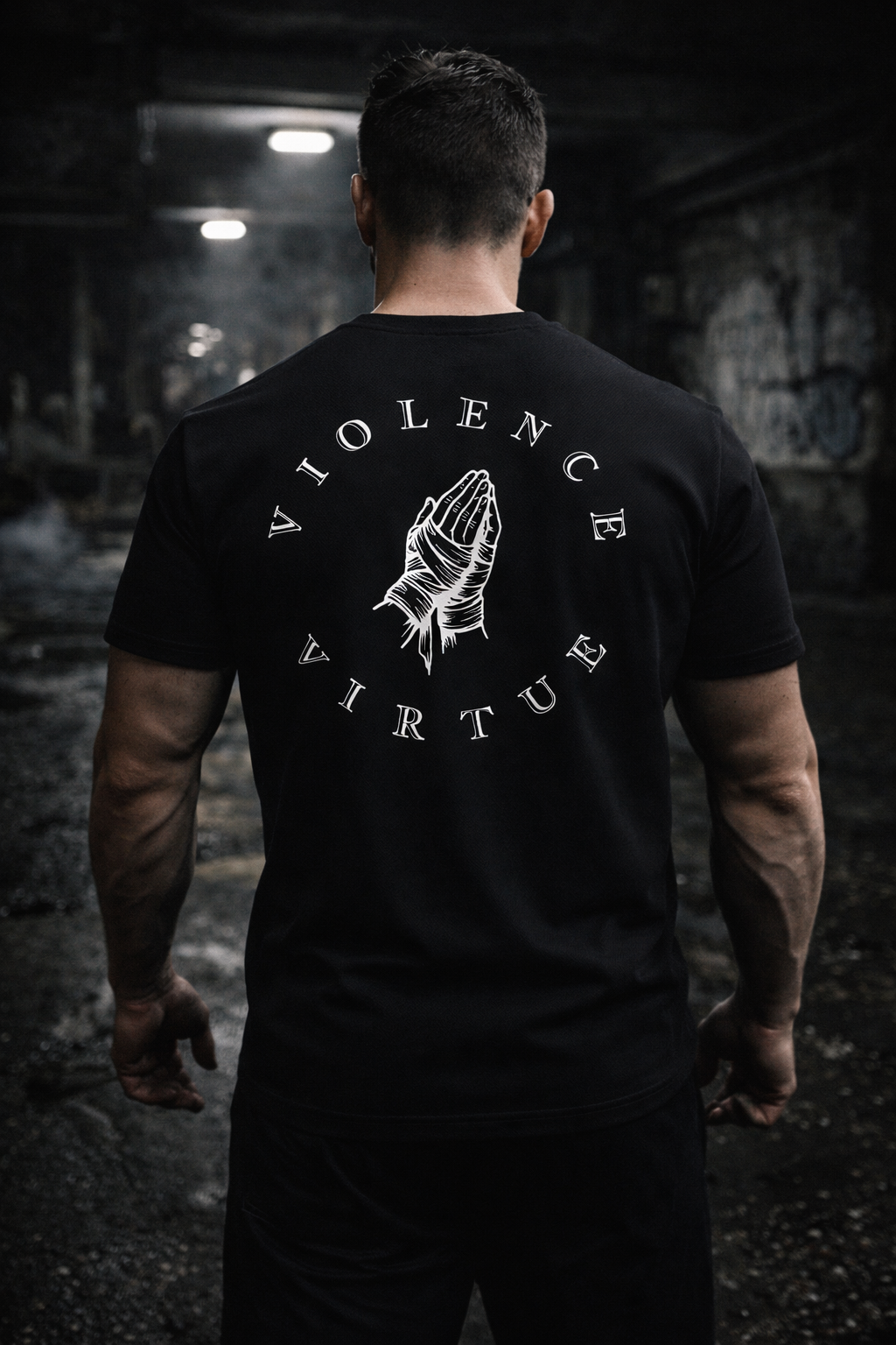 Violence & Virtue Brand Circle